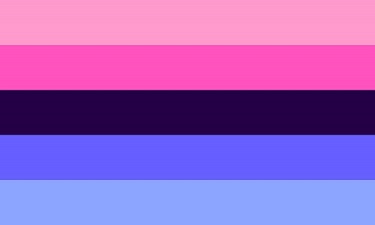 The omnisexual flag